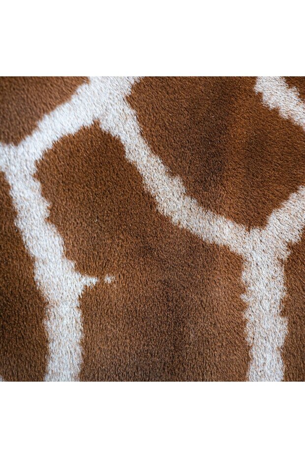 Tablou Canvas, Model Giraffe - 3