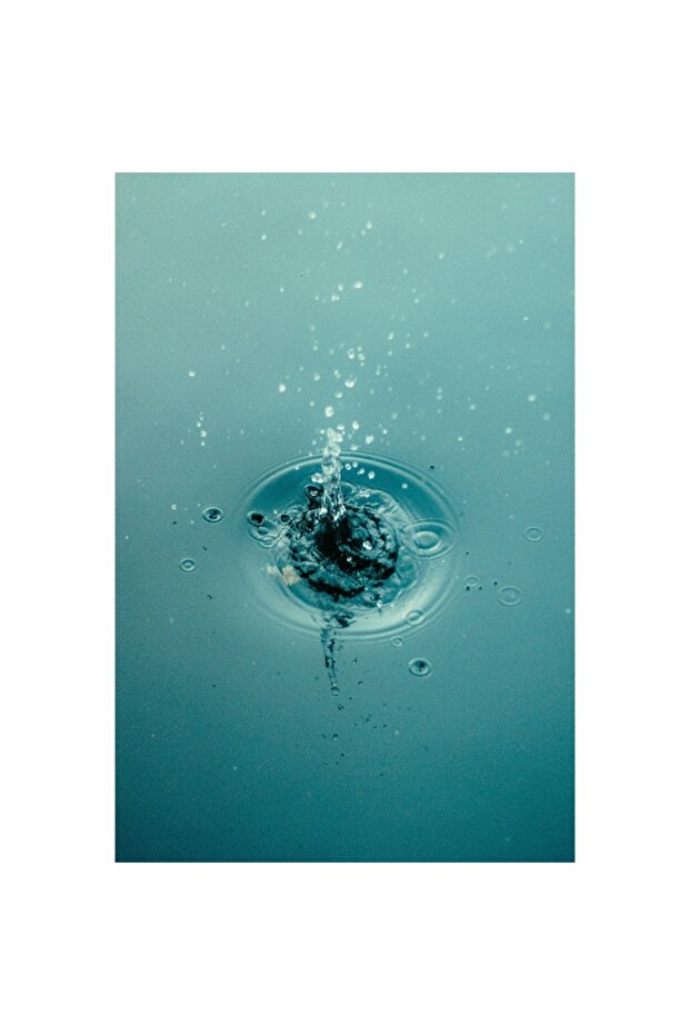 Tablou Canvas, "Simfonie Acvatica" - 3