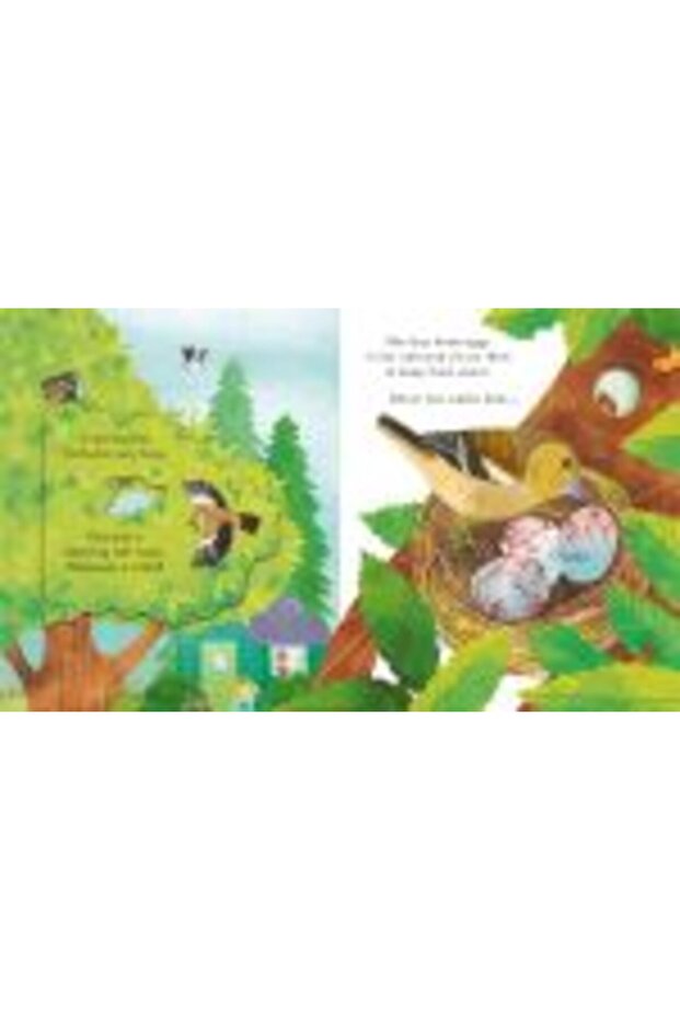 Peep Inside Springtime - 9
