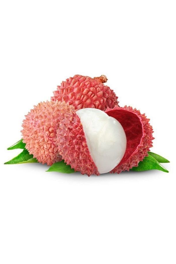 2 Yaş Liçi-lychee Fidesi, Saksıda - 1