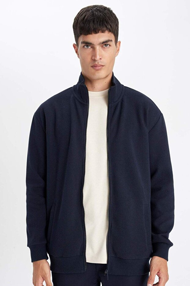 Comfort Regular Fit Relaxed Cut Stand Collar Pocket Basic Plain Zippered Sweatshirt D4971Ax24Au