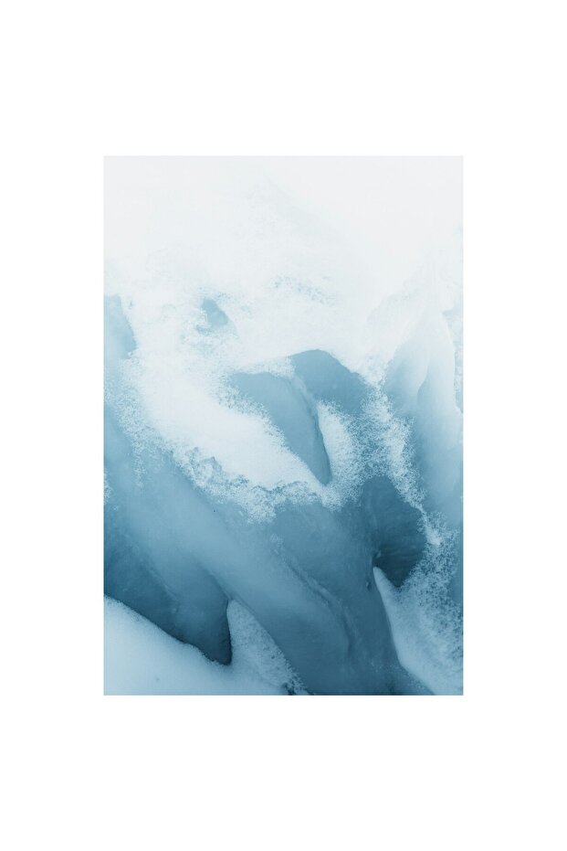 Tablou Canvas, 'Inghet Visator' - 4