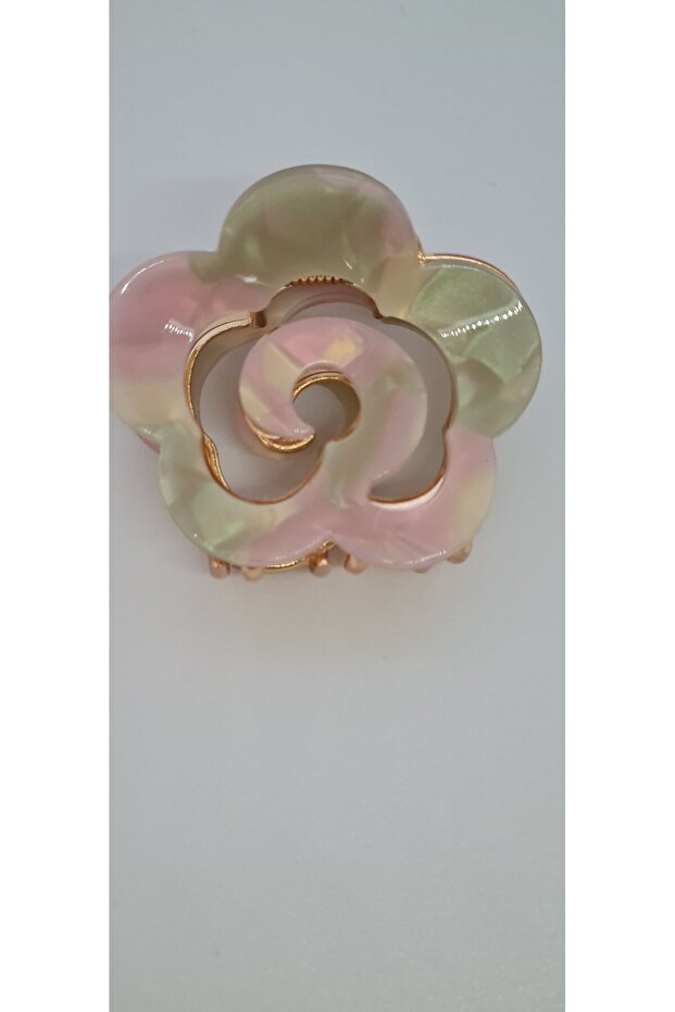 مشبك مزلاج العظام - 2