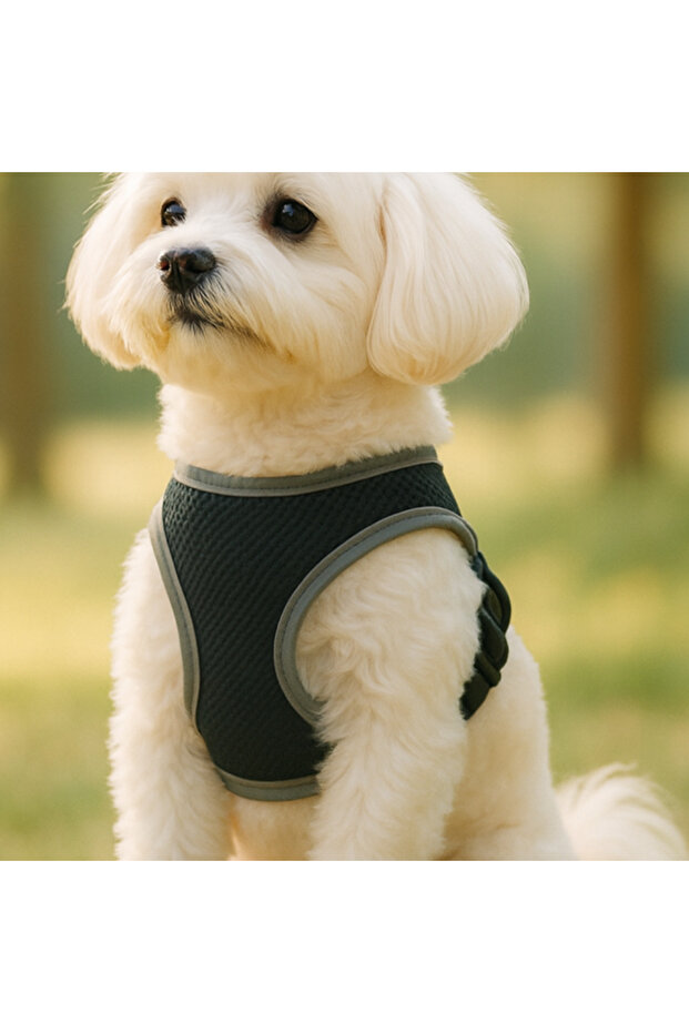 S-M-L Washable Mesh Mesh Chest Harness Breathable Anti-Sweat Durable Clip-On Velcro Leash