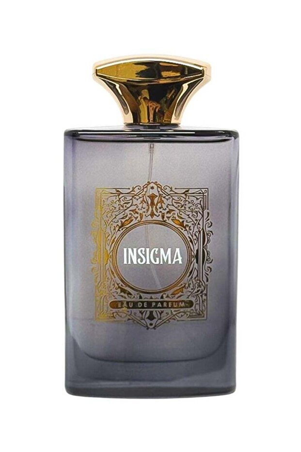 INSIGMA EAU DE PARFUM 100ML - 1