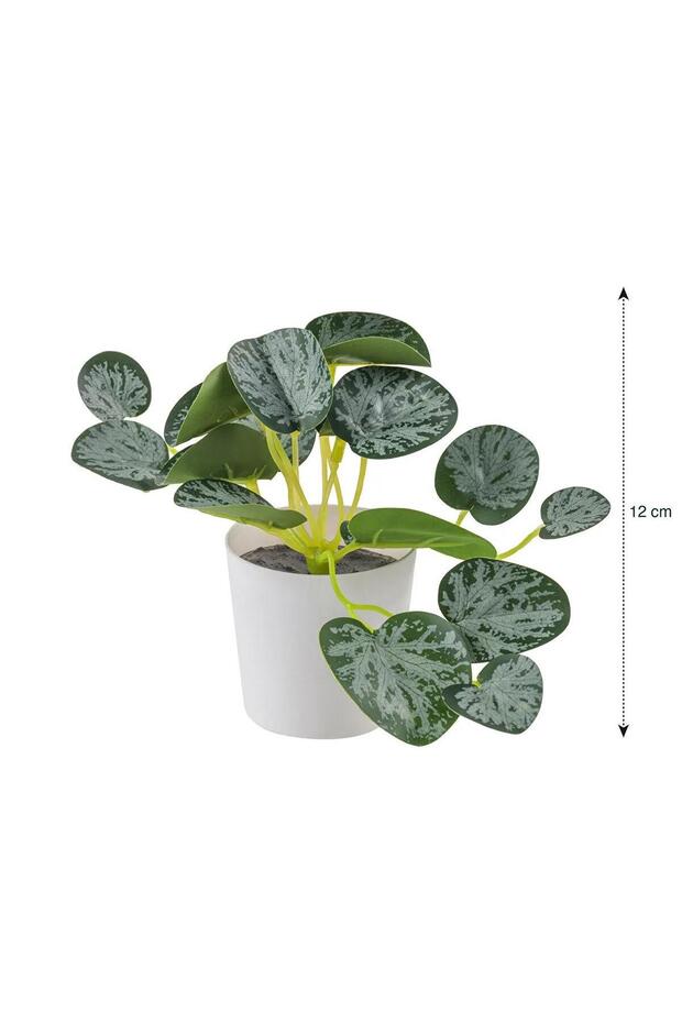 LCW HOME Dekoratif Yapay Çiçek 12 cm (W5) - 4
