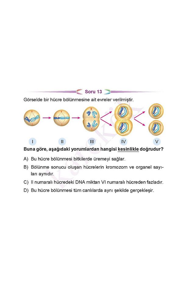 7.Sınıf Cep Test 4lü Set Türkçe Matematik Sosyal Bilgiler Fen Bilimleri - 6