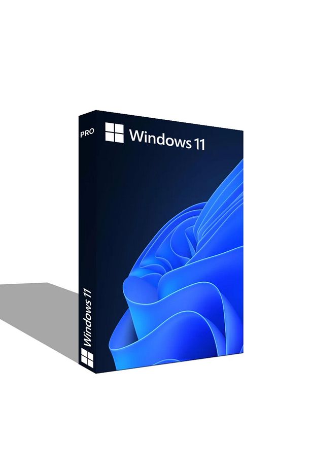 Windows 11 Pro - 1
