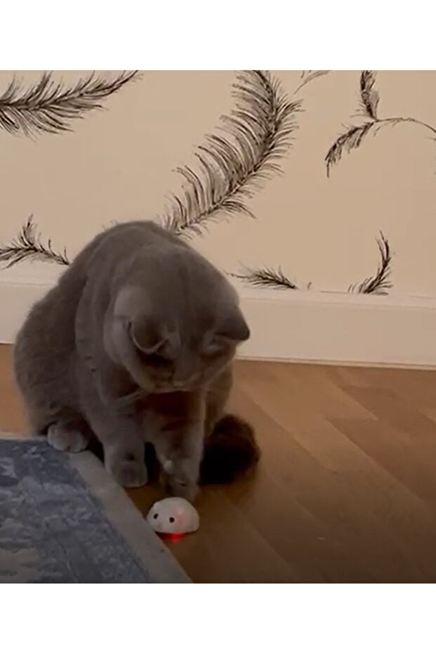 interactive toy, Mouse with remote control, gray, 15 cm - 6