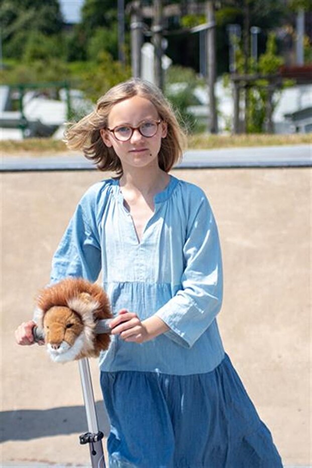 ملحق سكوتر، أسد - 2