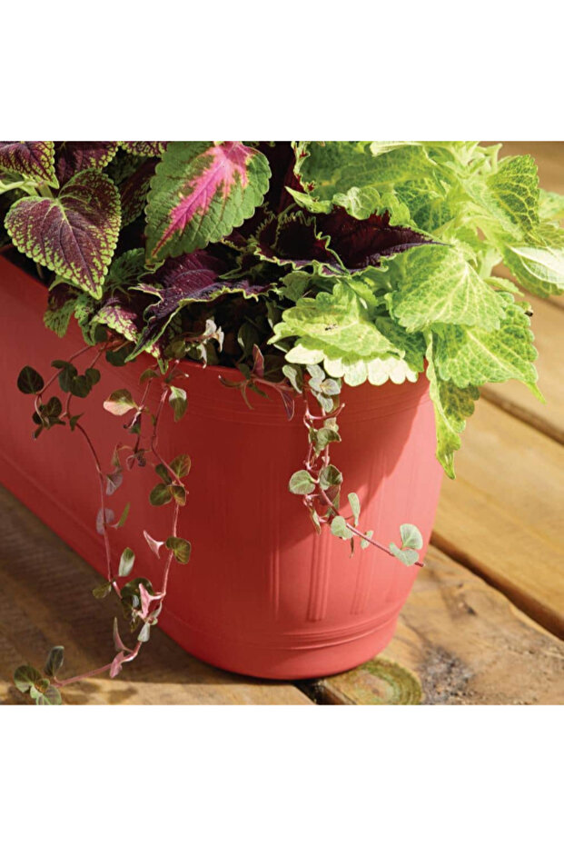 Eleanor Rectangular Window Plastic Planter 24inch - 4