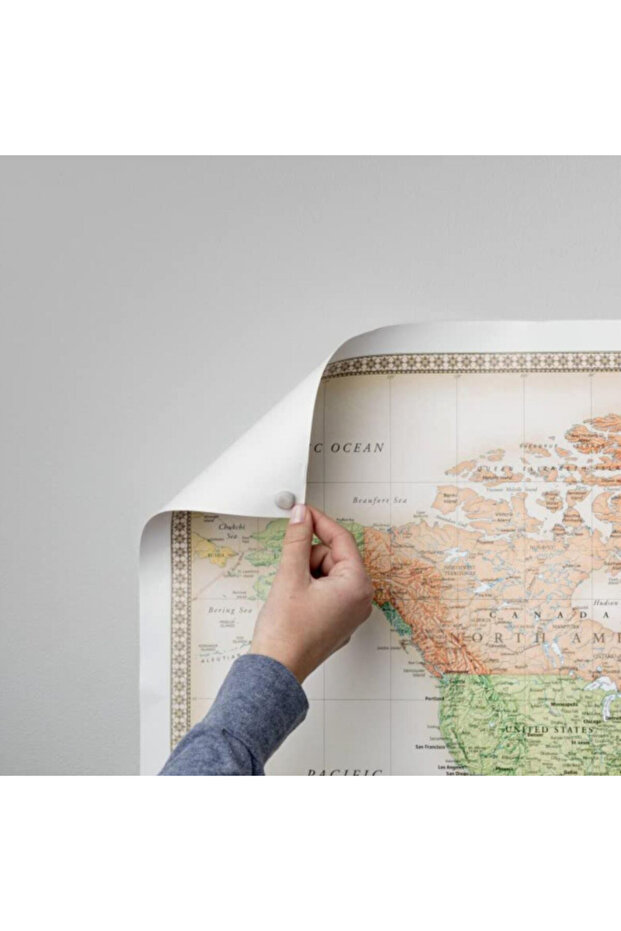 معجون ملصقات قابل لإعادة الاستخدام والإزالة، 2 أونصة - 6