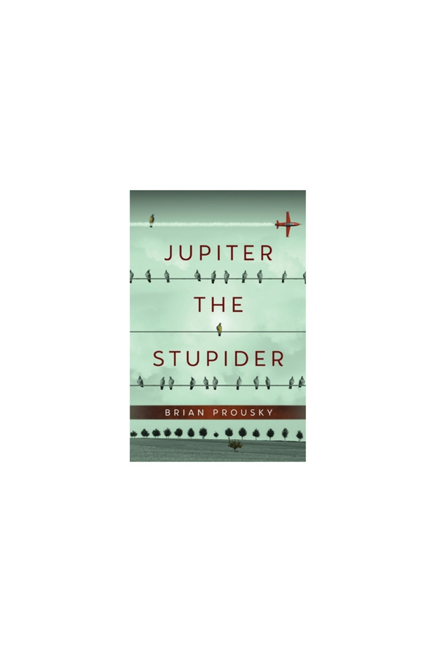 Jupiter the Stupider - 1