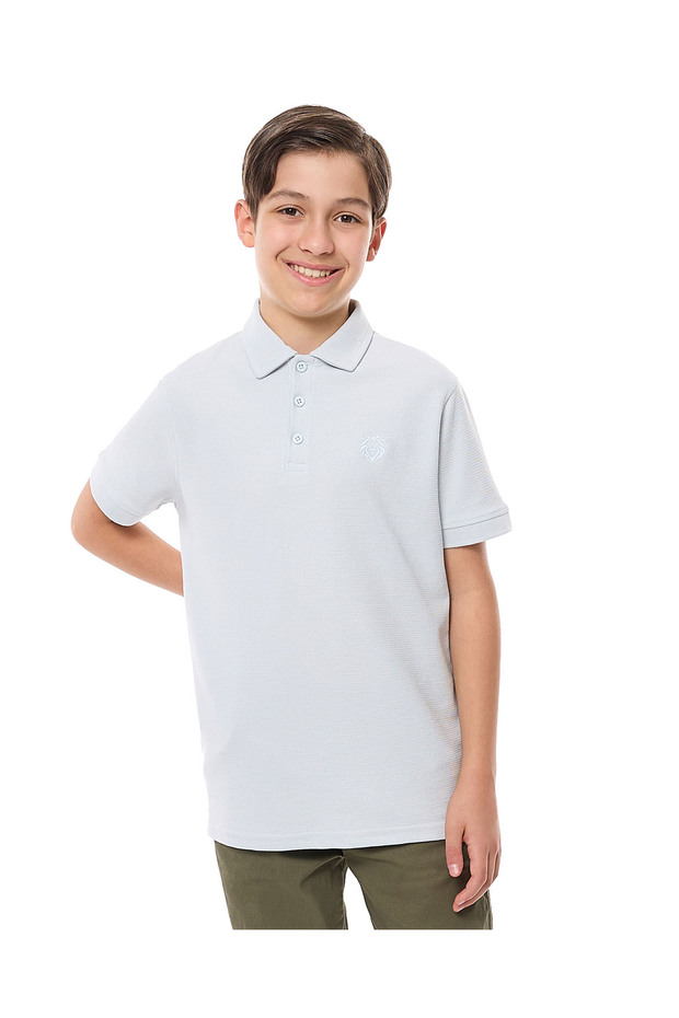 Embroidered Detail Polo T-Shirt with Short Sleeves