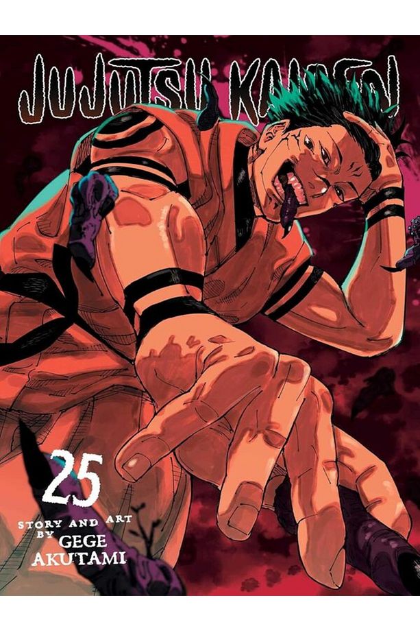 Jujutsu Kaisen 25 - 2