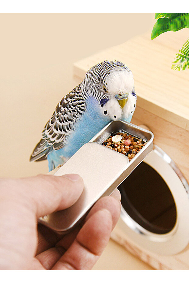 Push-Pull Bird Food Box Bird Training Feeder Box Storage Container for Parrot - 2
