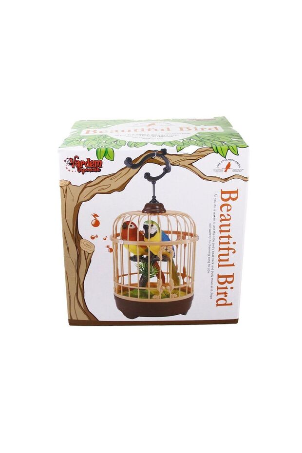 Hl518-2 Caged Double Bird Music Girl Child Boy Toy Educational Toys