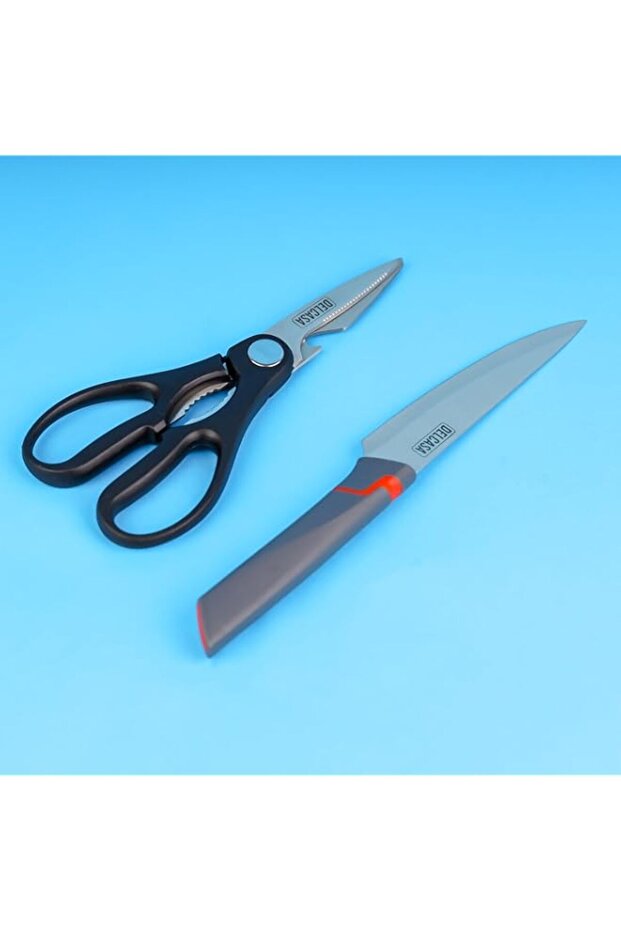 Delcasa DC2953 Kitchen Cutting Knives Set, 2-Pieces, Black