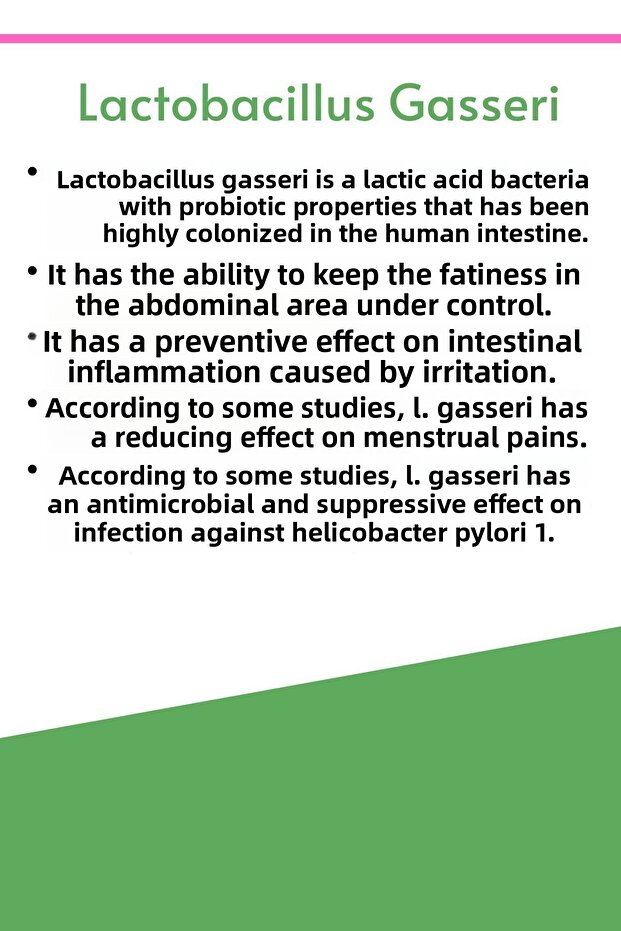 Lactobacillus Gasseri 30 Capsules - 2