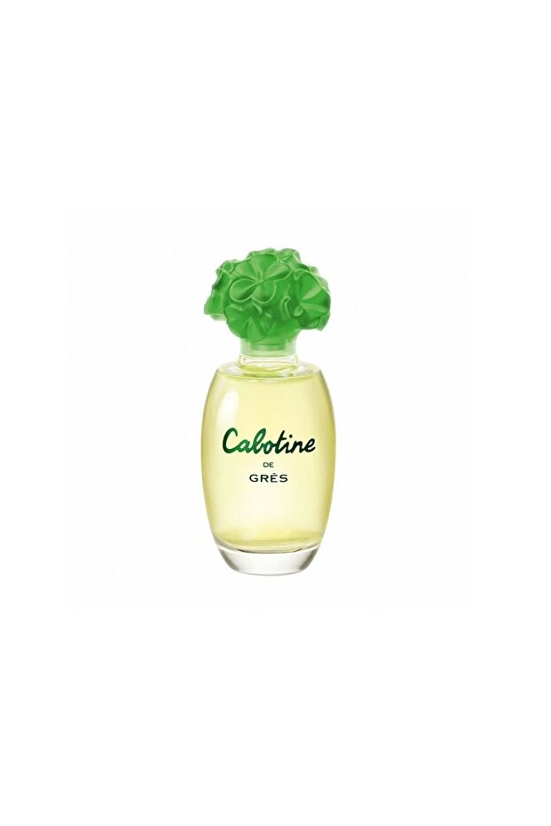 Cabotine De Edt 100 Ml - 1