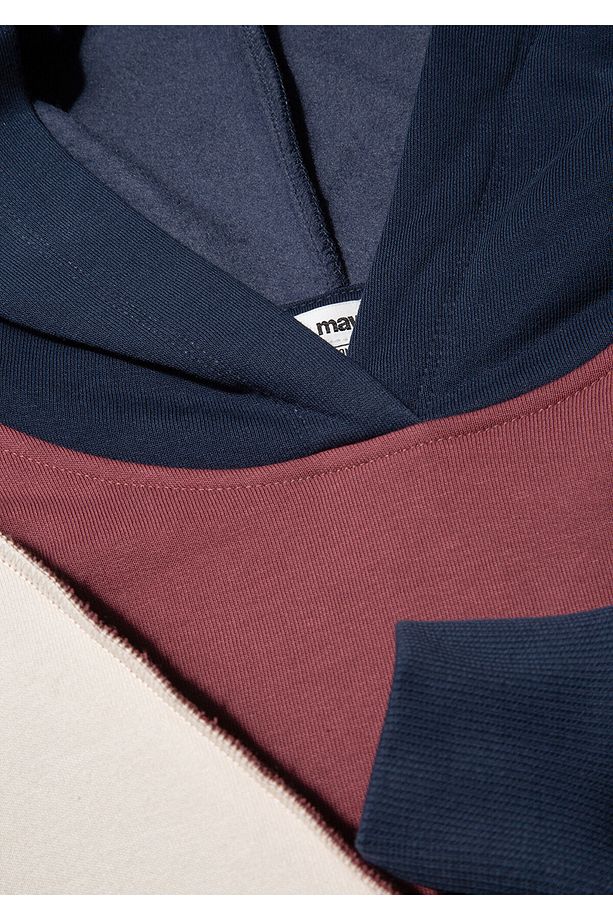 Color Block Kapüşonlu Sweatshirt 1S10170-70399 - 6