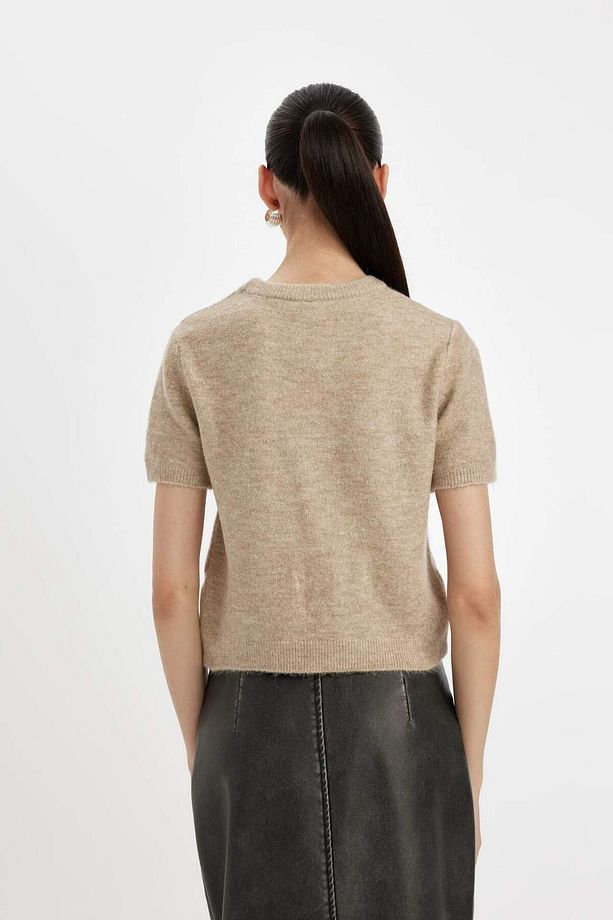 Regular Fit Bisiklet Yaka Premium Basic Düz Kısa Kollu Triko Kazak C9049AX24WN - 6