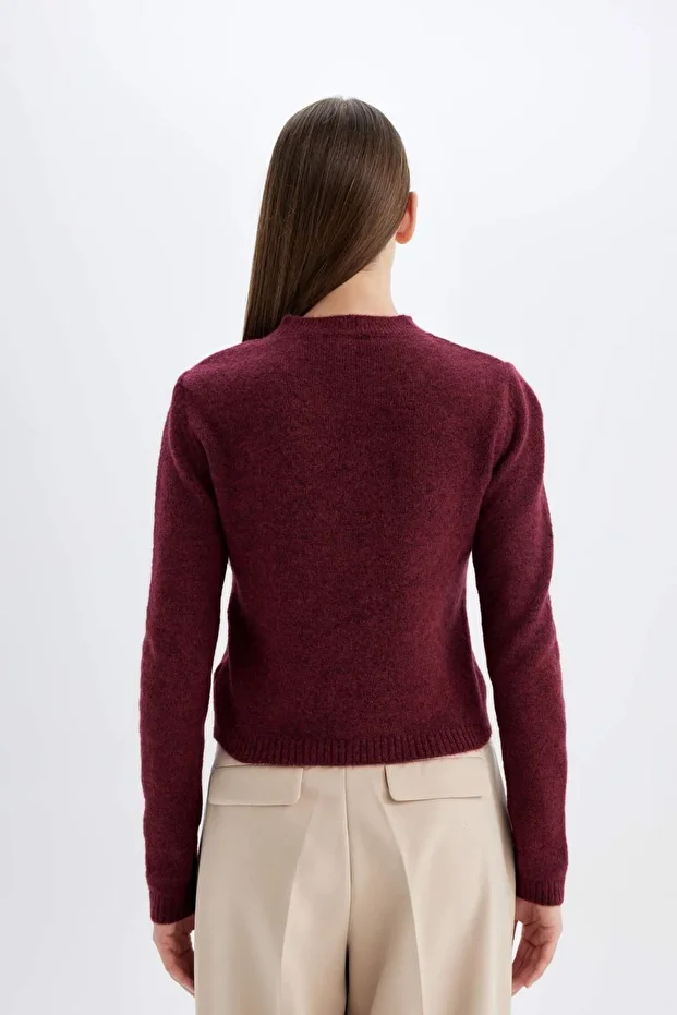 Regular Fit Bisiklet Yaka Premium Basic Düz Crop Triko Kazak C9047AX24WN - 6