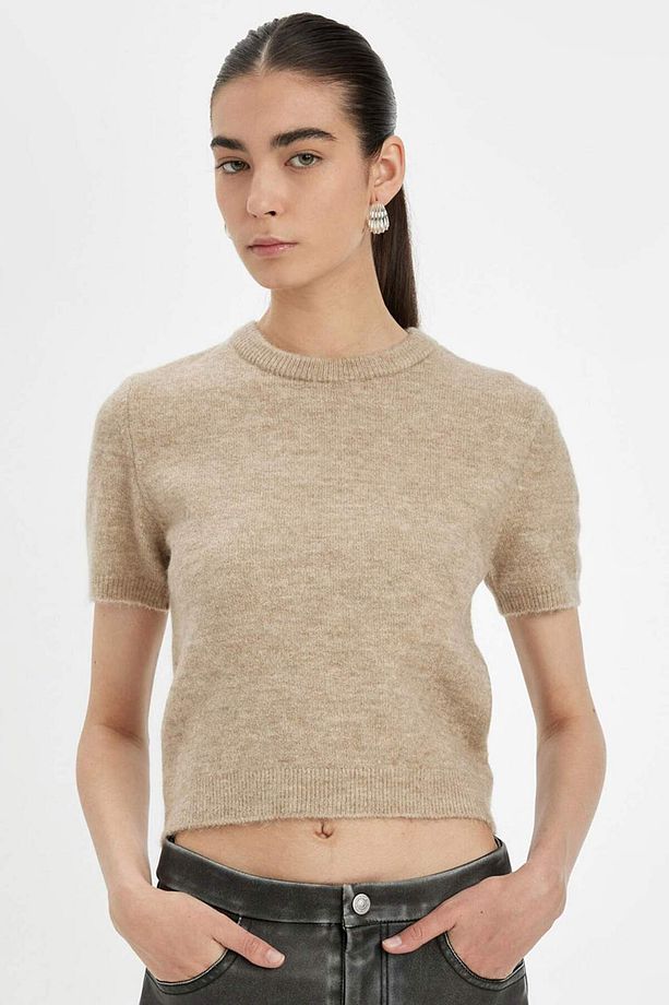 Regular Fit Bisiklet Yaka Premium Basic Düz Kısa Kollu Triko Kazak C9049AX24WN - 1