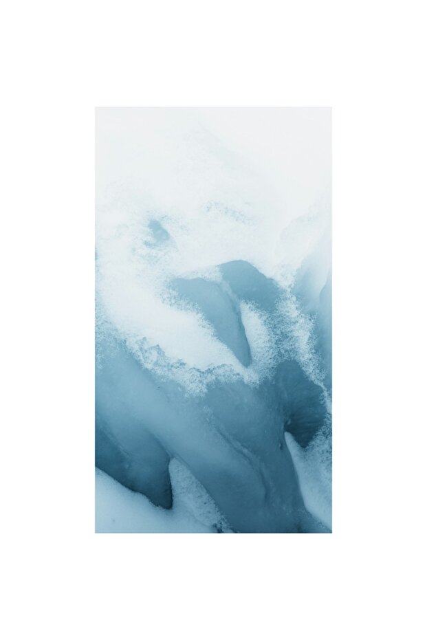 Tablou Canvas, 'Inghet Visator' - 3