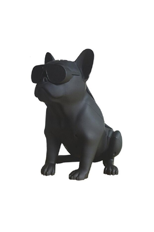 Portable Wireless Speaker, Bluetooth Function, Radio Function, Usb Slot, Microsd Slot, - 1