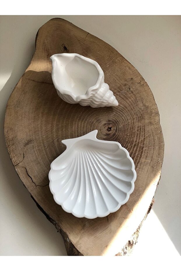 Seashell And Oyster Set White - 1
