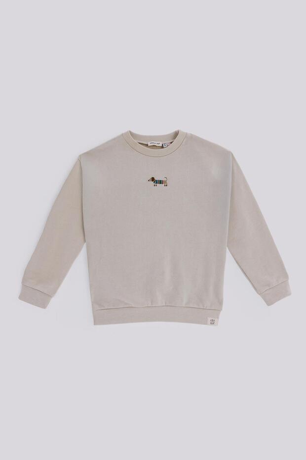 BG Store سويت شيرت بيج للأولاد - 5