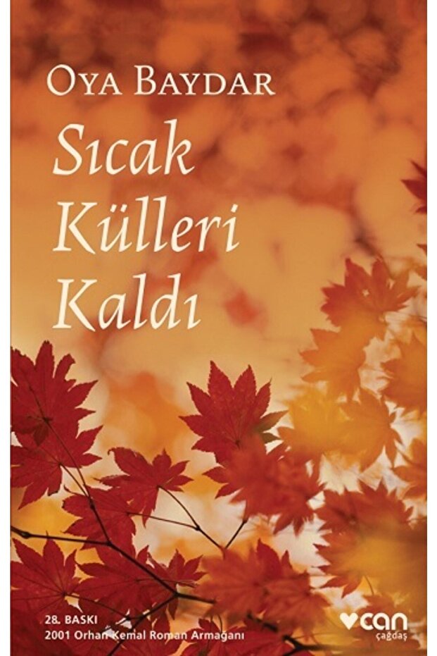 Sıcak Külleri Kaldı - 1