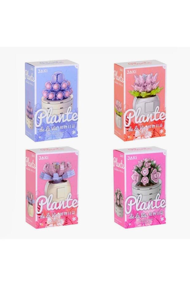 Sukulent Yapı Oyuncak Yapı Oyuncağı - 1