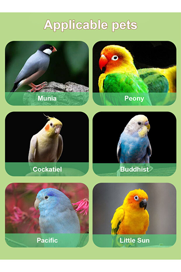 Push-Pull Bird Food Box Bird Training Feeder Box Storage Container for Parrot - 6