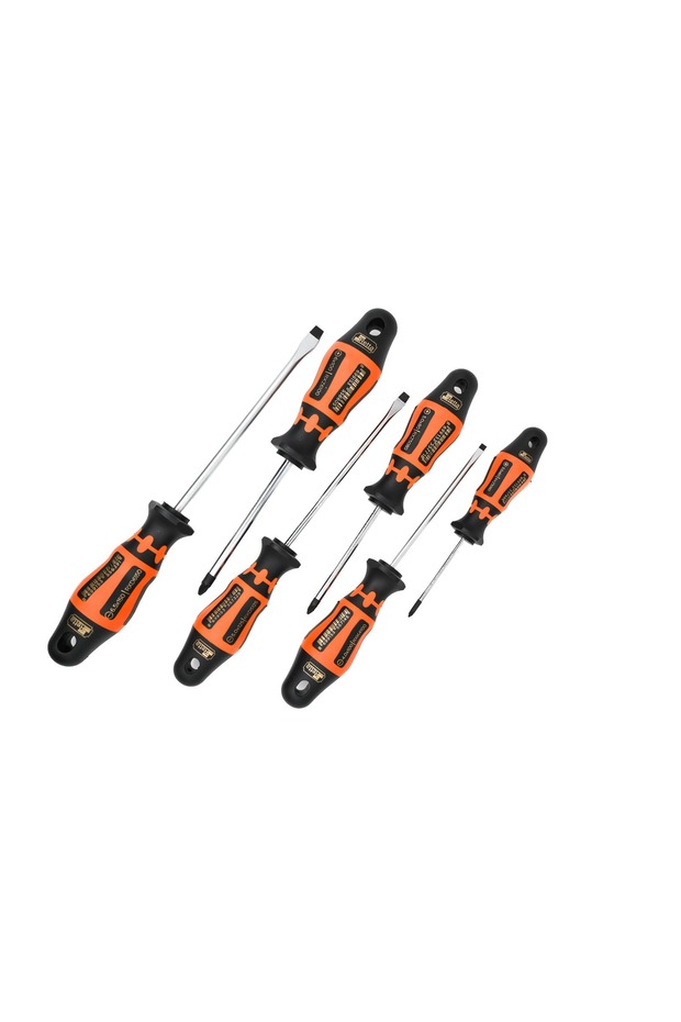 RX Serisi 6 Parça Tornavida Seti - 2