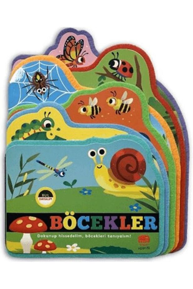 Bul Bakalım Böcekler - 1