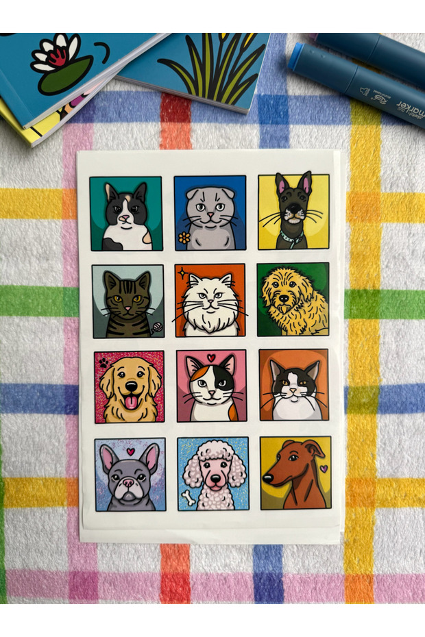 BOYALA Sticker Pack - 2