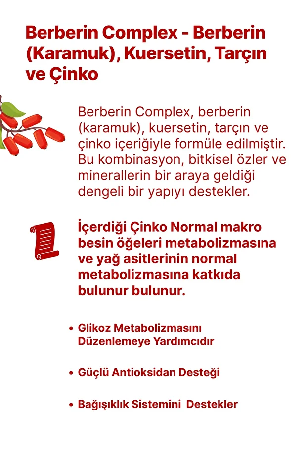 Berberin Complex ( Quercetin+Zinc ) Karamuk Berberis Vulgaris - 3