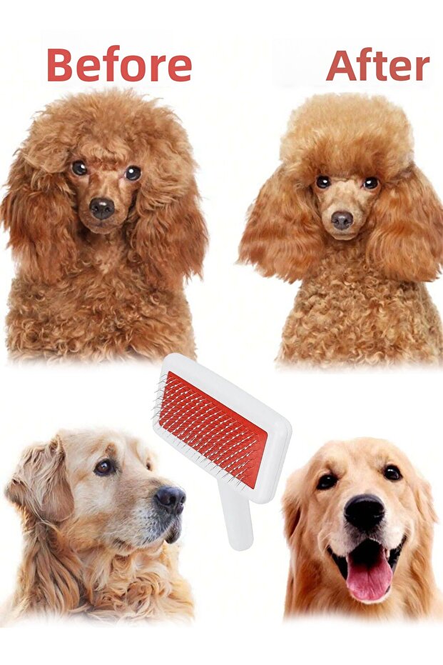 Pet Comb - Feather Dislocation Opener with Handle, Play Tunnel with Flea Lice Pick Comb - 6