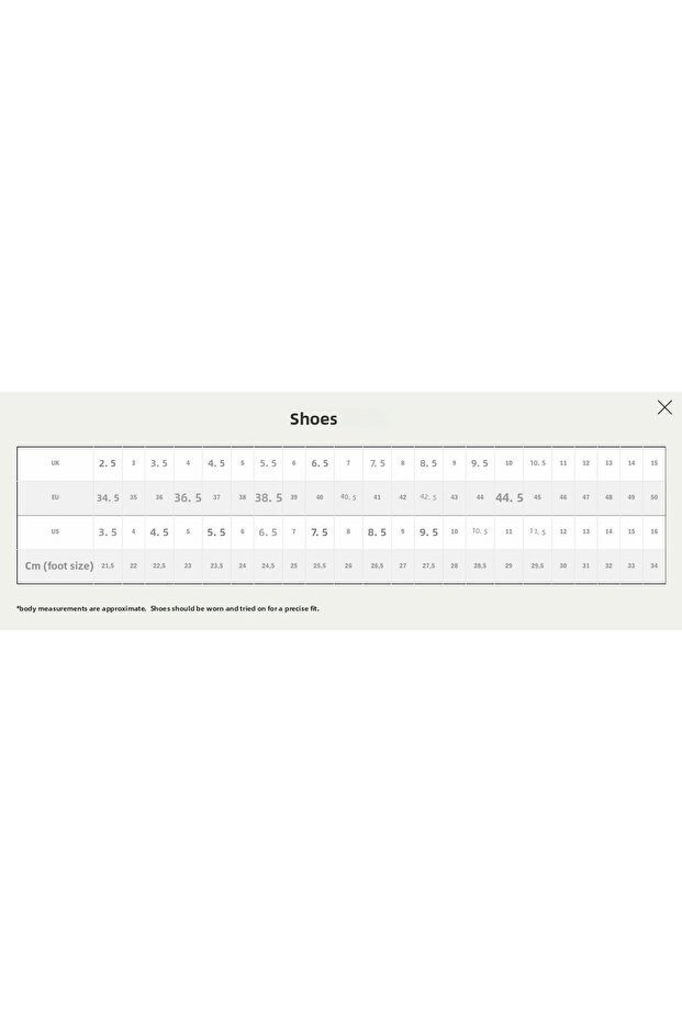 المدرسة القديمة - الصرصور الاستوائي - 5