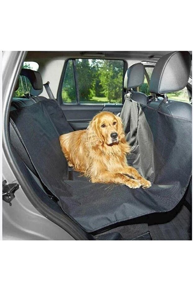 PET ARAÇ ÖRTÜSÜ - 1