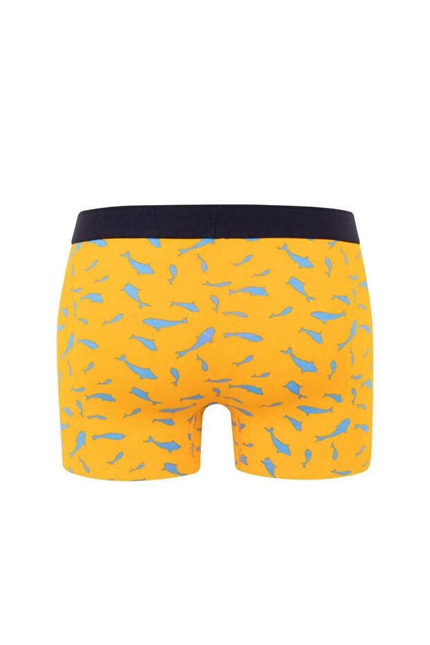 Regular Fit 3lü Boxer B7185AX24SM - 3