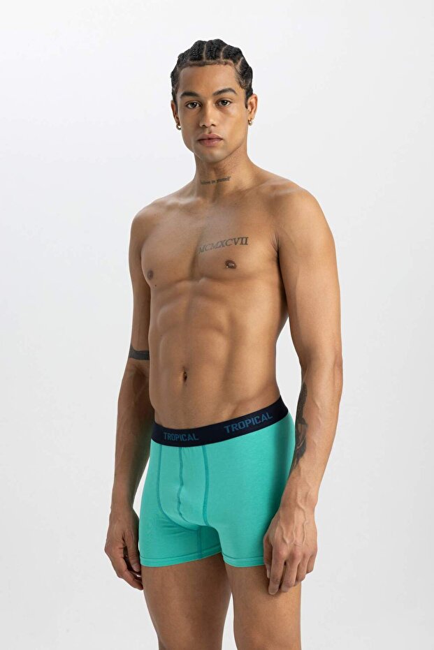 Regular Fit 3lü Boxer B7961AX24SM - 6