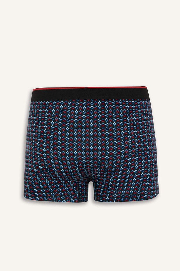 Regular Fit 3lü Boxer B7943AX24SP - 3