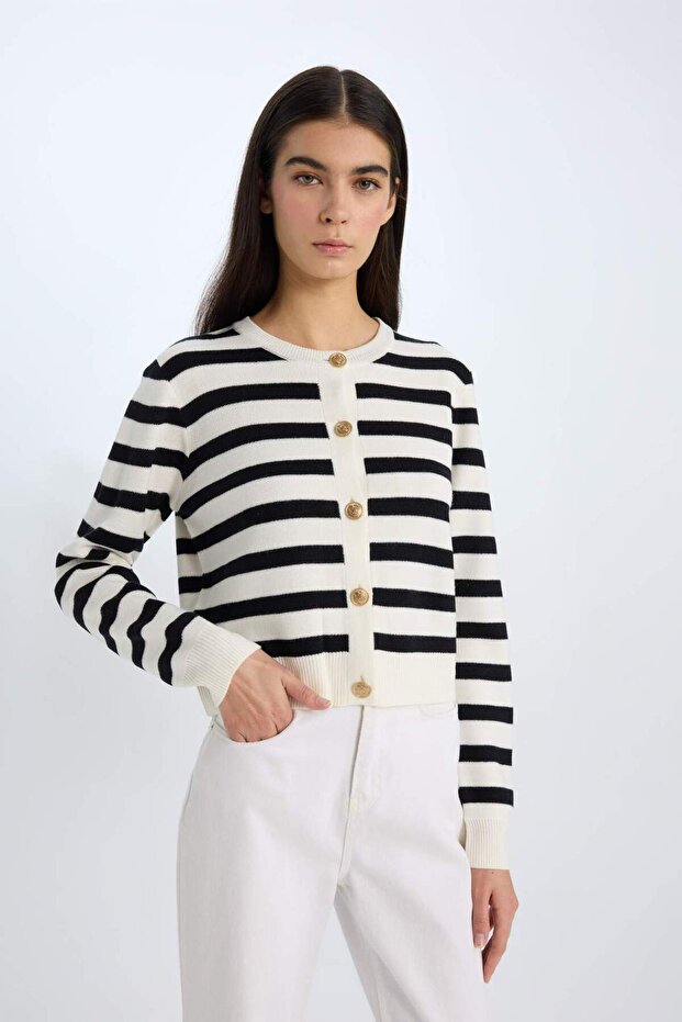 Regular Fit Çizgili Bisiklet Yaka Triko Hırka C1501AX24SP - 1