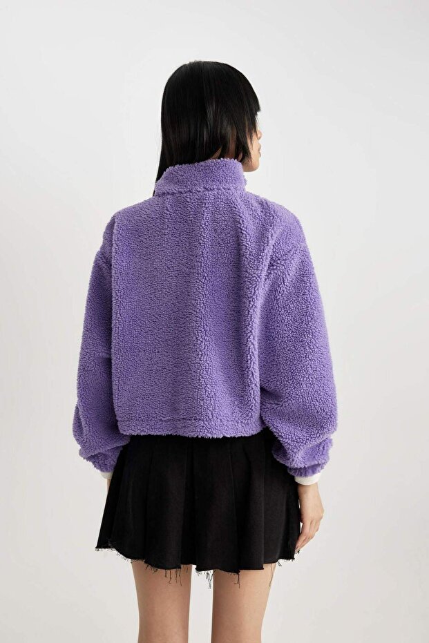 Coool Oversize Fermuarlı Dik Yaka Basic Düz Pelüş Sweatshirt B9836AX23WN - 8