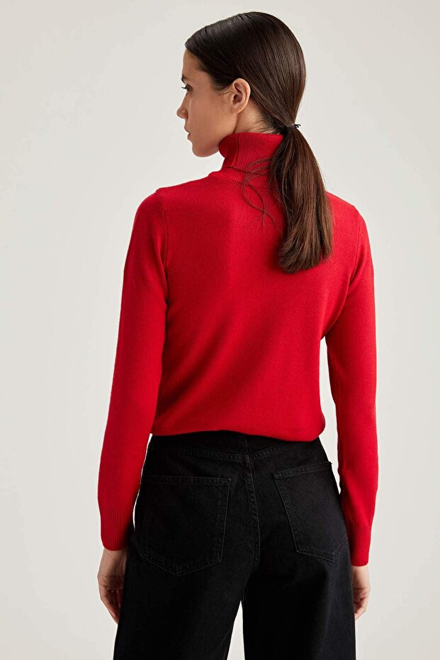 Rollkragenpullover mit weicher Textur, Basic-Strickpullover (25 WN) - 4