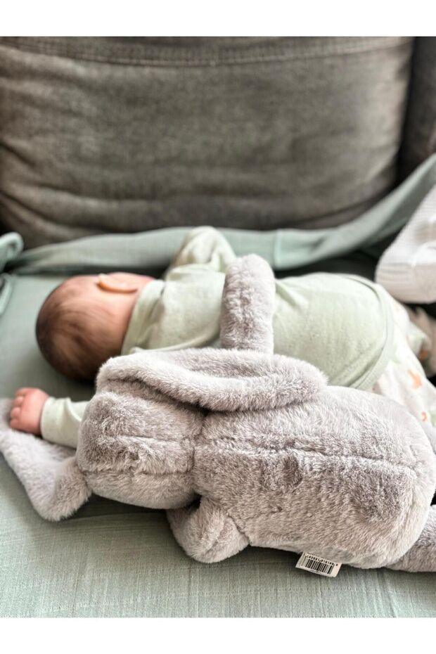 Mona Pışpışlayan Uyku Arkadaşı (Kalın Karton Kutu) - 4