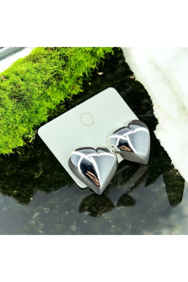 Heart Shaped Earrings - 2